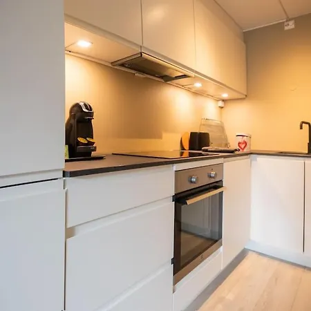 Lejlighed Cozy, Ultracentral Duplex With Rooftop Terrace Oslo